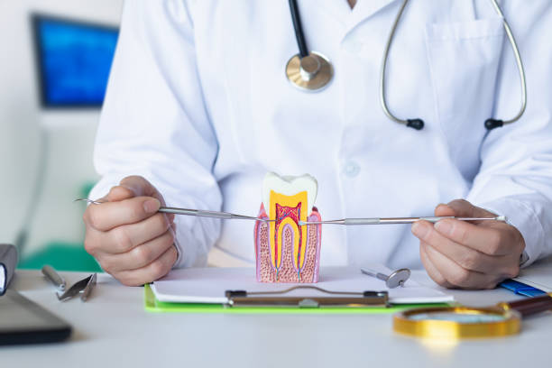 Best Emergency Treatment for Toothache in Hayfork, CA